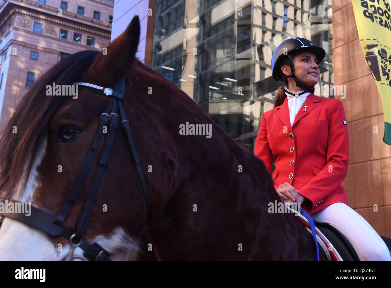 Model Rachael Finch on Melbourne Cup Clydesdale Lofty in Martin Place
