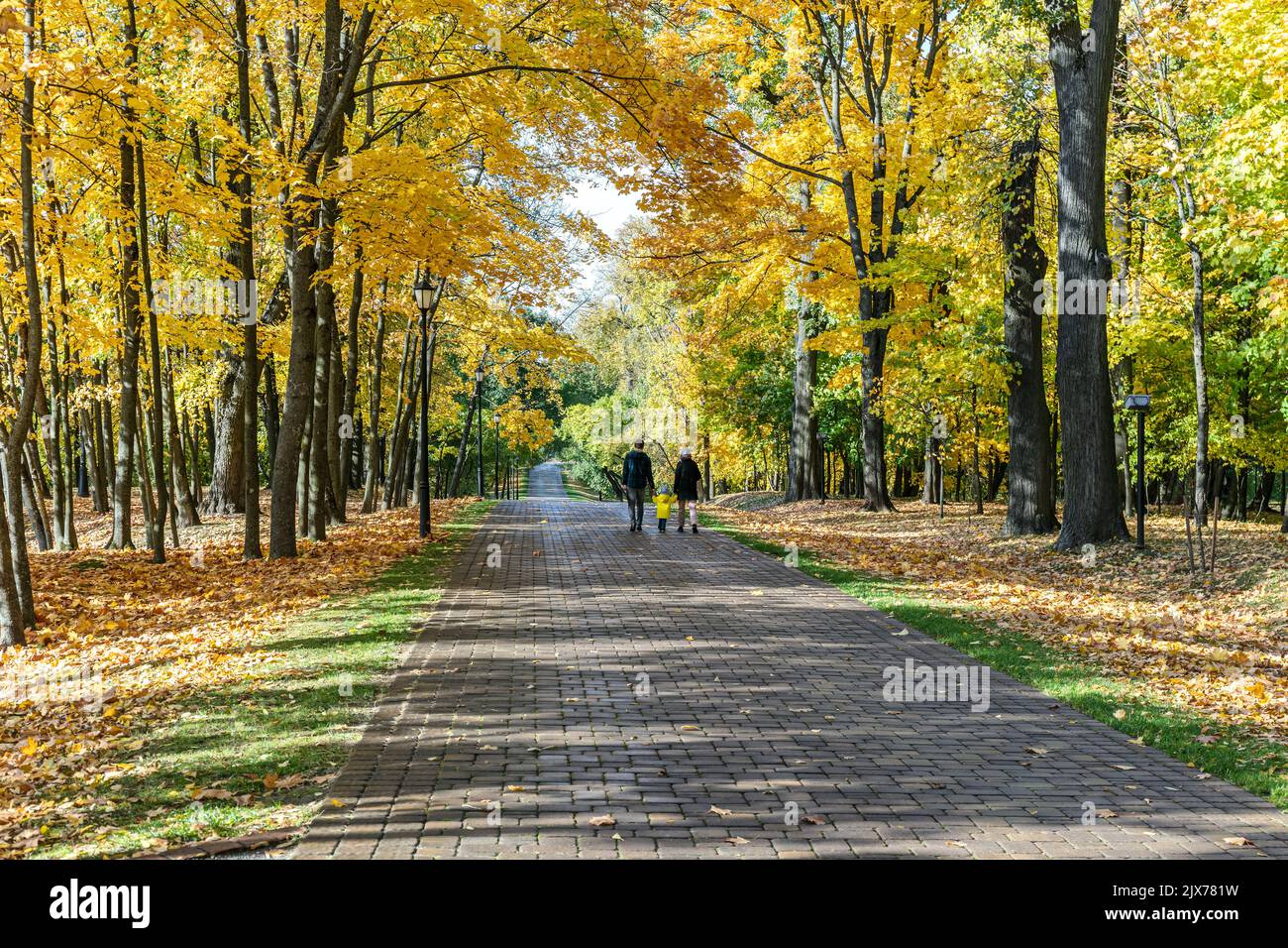 colorful trees and footpath in autumn park landscape Stock Photo