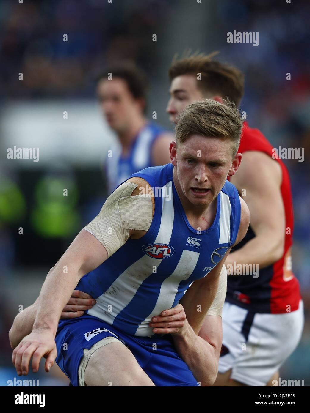 Kangaroos Captain Jack Ziebell during the round 19 AFL match