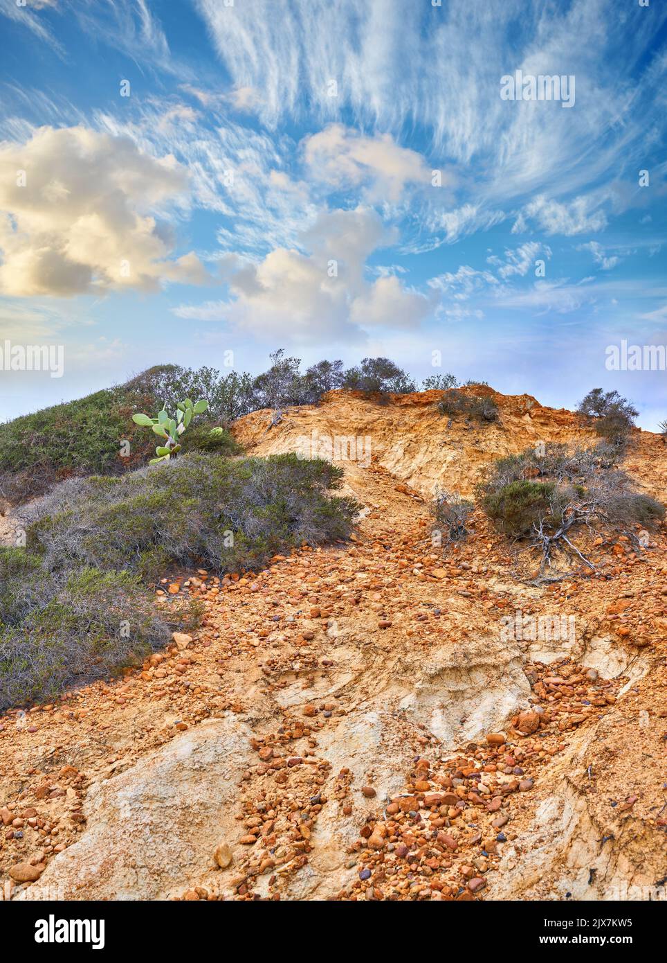 Torrey Pines State and Beach Park - San Diego, California, USA. The beautiful Torrey Pines Park, San Diego, California. Stock Photo