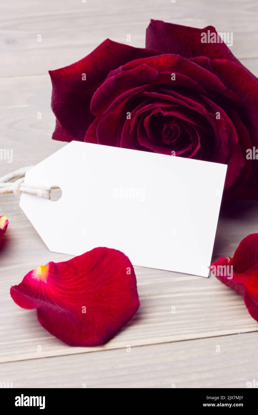 Beautiful roses note in hi-res stock photography and images - Alamy