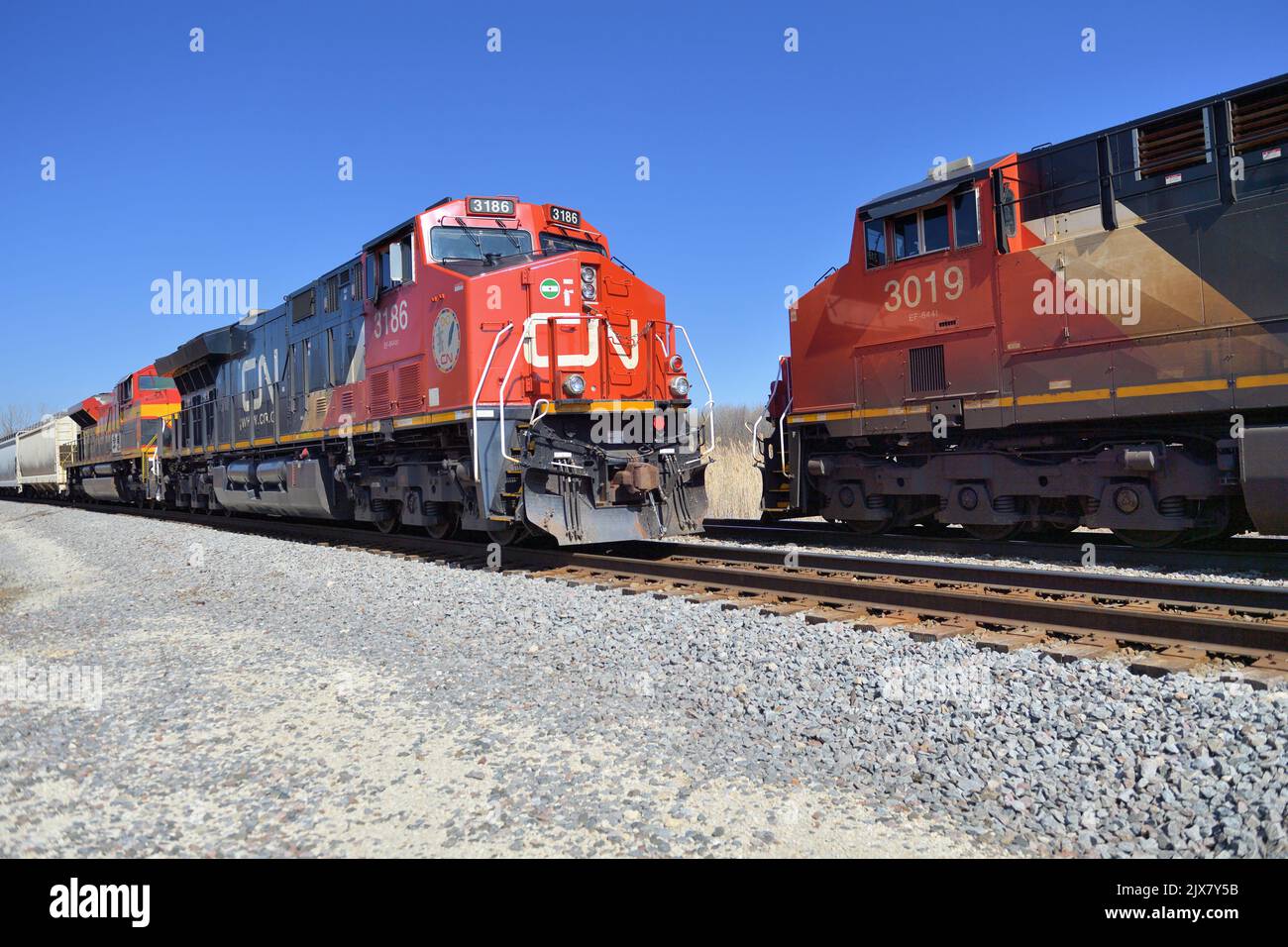 Hoffman Estates, Illinois, USA. A Canadian National Railway freight train, at left, holding on a siding being passed by another freight train. Stock Photo