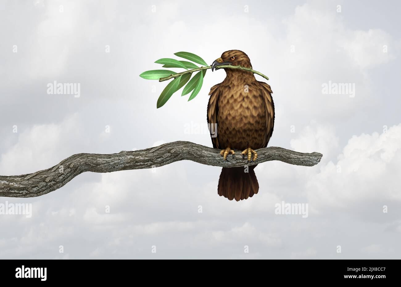 Peace through strength foreign policy concept represents military power as a powerful and strong war hawk holding an olive branch for freedom. Stock Photo