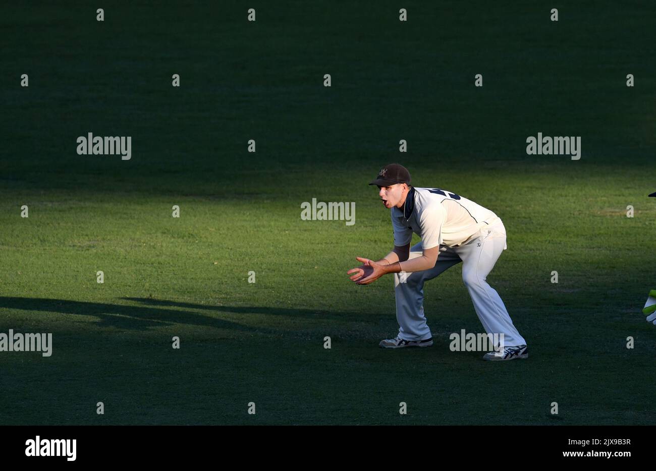 Peter Handscomb of Victoria is seen fielding at second slip during day ...
