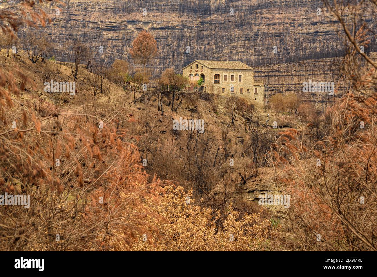 A house surrounded by forest burned after the 2022 Pont de Vilomara wildfire (Bages, Barcelona, Catalonia, Spain)  ESP: Una casa y bosque quemado Stock Photo