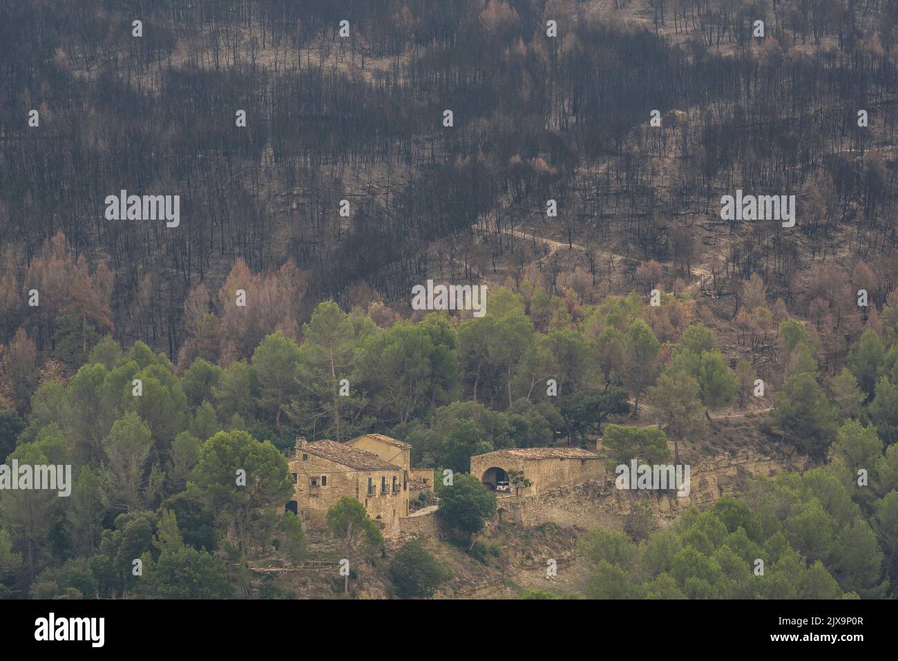Forests burned by the 2022 Pont de Vilomara wildfire seen from Manresa (Bages, Barcelona, Catalonia, Spain)  ESP: Bosques quemados por un incendio Stock Photo