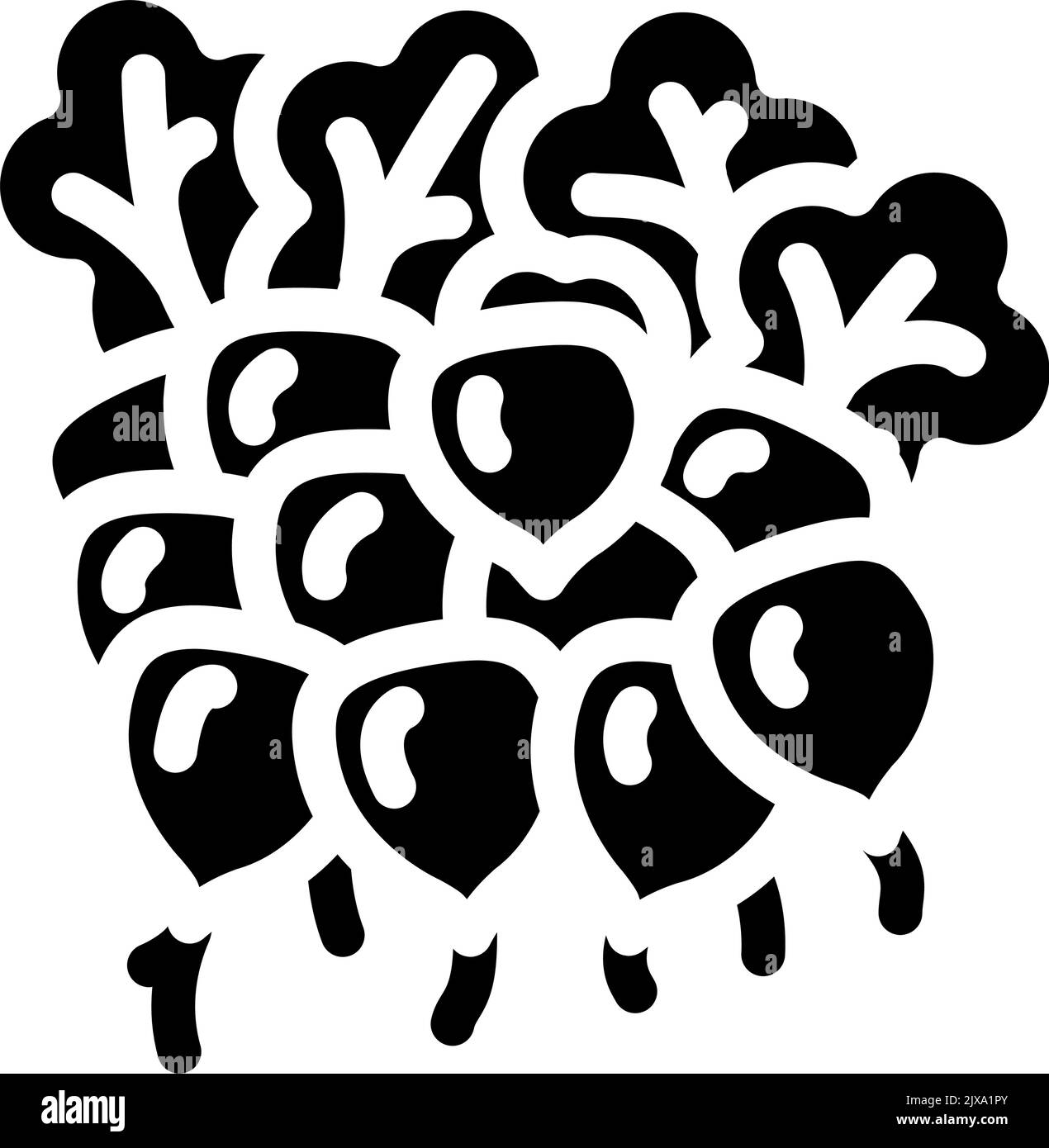 bunch radish glyph icon vector illustration Stock Vector Image & Art ...