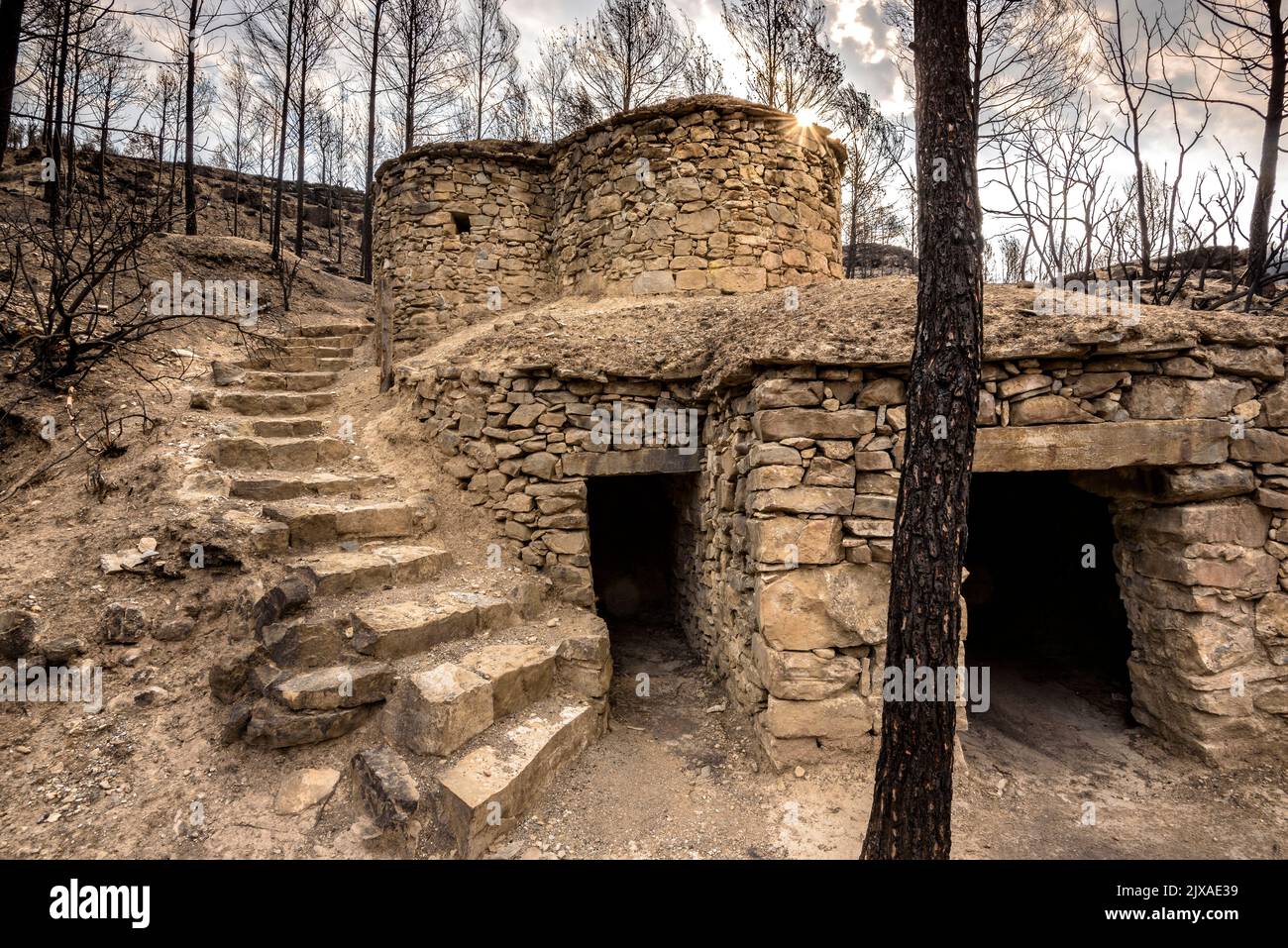 Tubs (Tines in catalan) and the Flequer valley after the 2022 Pont de Vilomara fire in the Sant Llorenç del Munt i l'Obac Natural Park Catalonia Spain Stock Photo