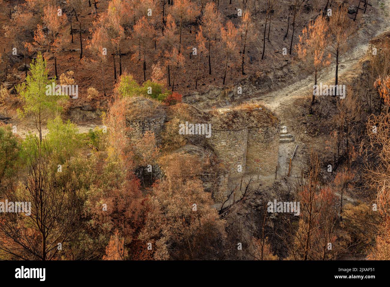 Tubs (Tines in catalan) and the Flequer valley after the 2022 Pont de Vilomara fire in the Sant Llorenç del Munt i l'Obac Natural Park Catalonia Spain Stock Photo