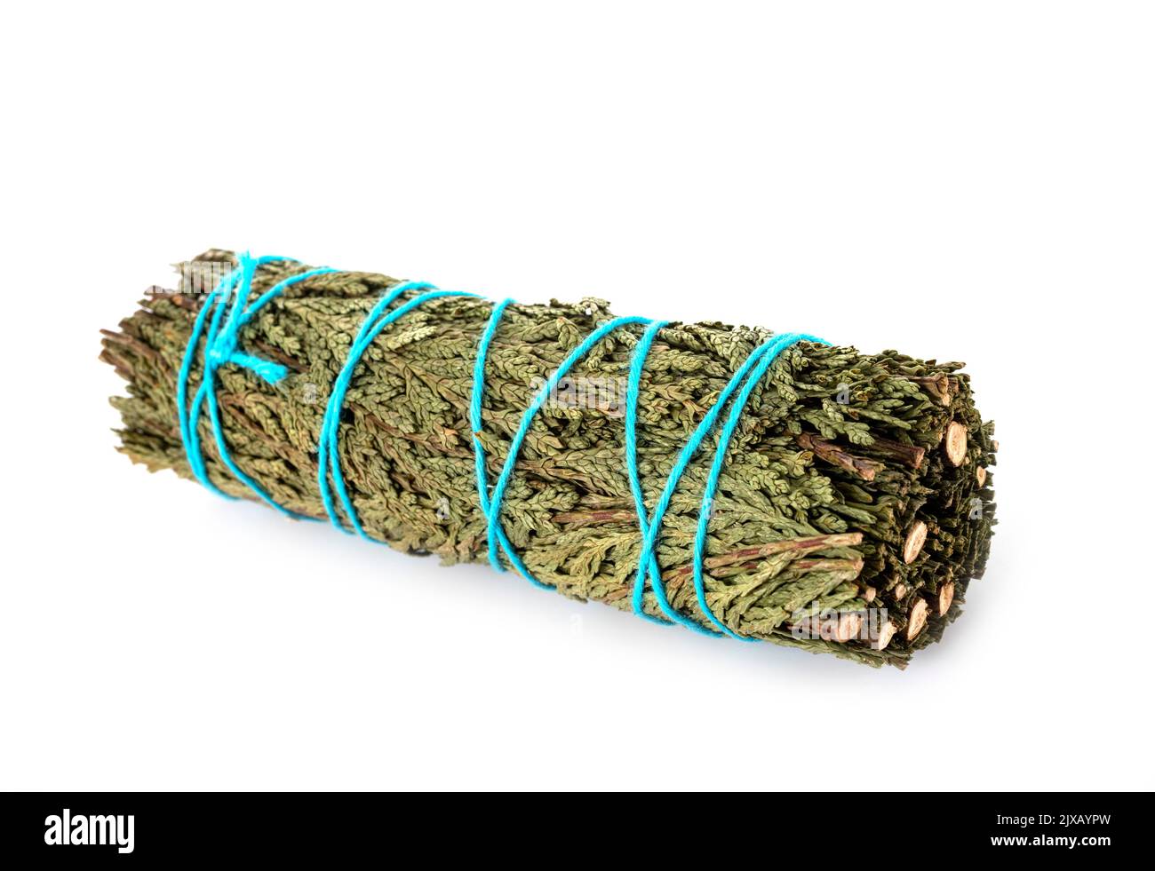 cypress incense in front of white background Stock Photo Alamy