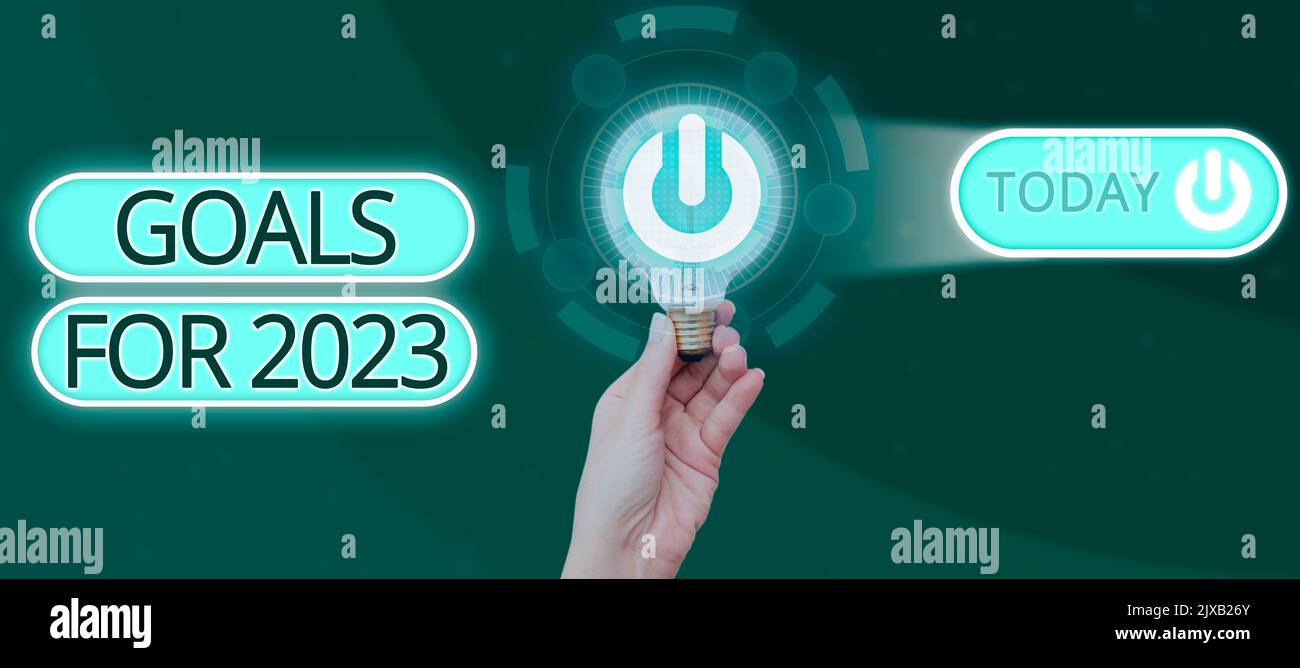 Conceptual display Goals For 2023The following things you want to have