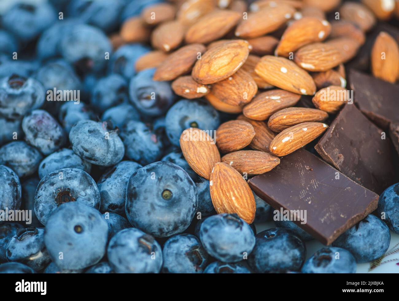 Fresh organic ripe blueberries mixed with unsalted dried almonds and dark chocolate pieces Stock Photo