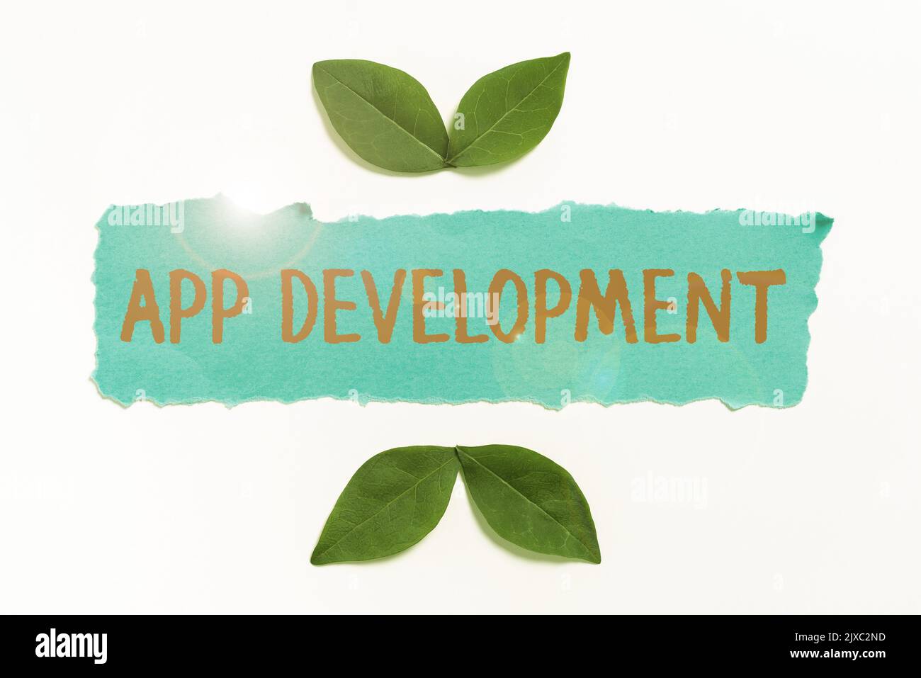 Text showing inspiration App DevelopmentDevelopment services for awesome mobile and web experiences. Word for Development services for awesome mobile Stock Photo