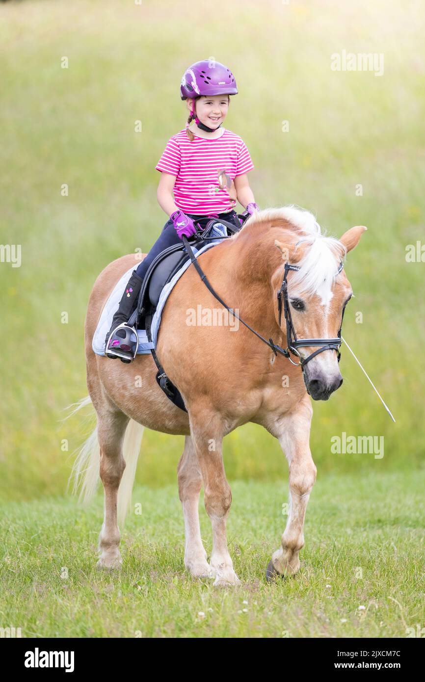 Haflinger Horse. Little girl riding gelding in spring. Germany Stock Photo