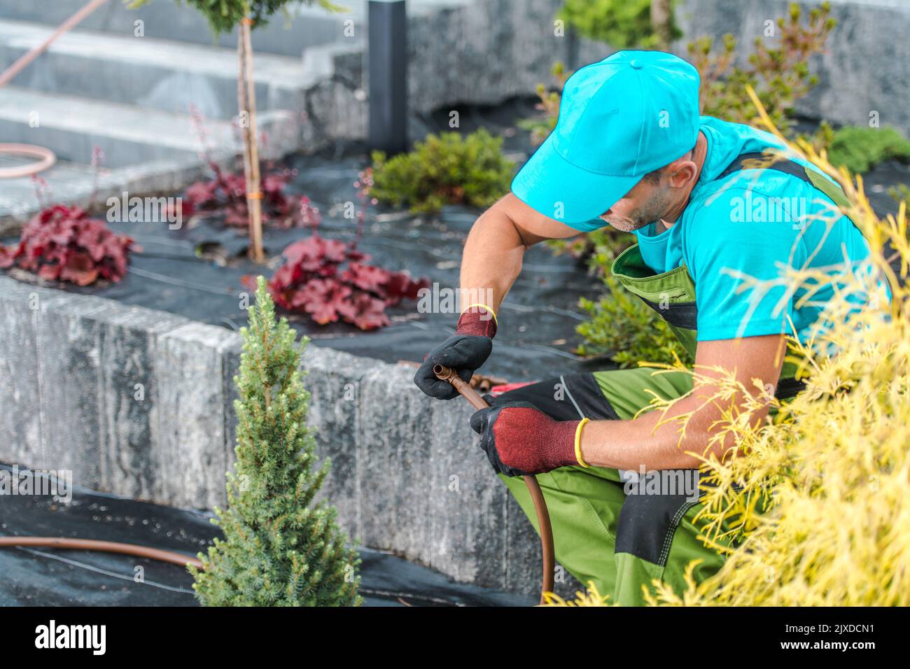 Caucasian Gardener with Hose in His Hands Working on Drip Irrigation