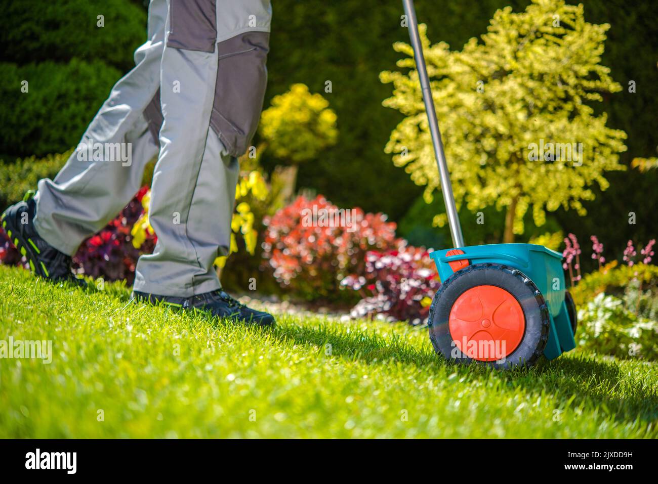 Closeup of Spreader Gardening Equipment Being Pushed by Professional Gardener for Fertilizing the Backyard Lawn. Garden Health Care and Maintenance Th Stock Photo