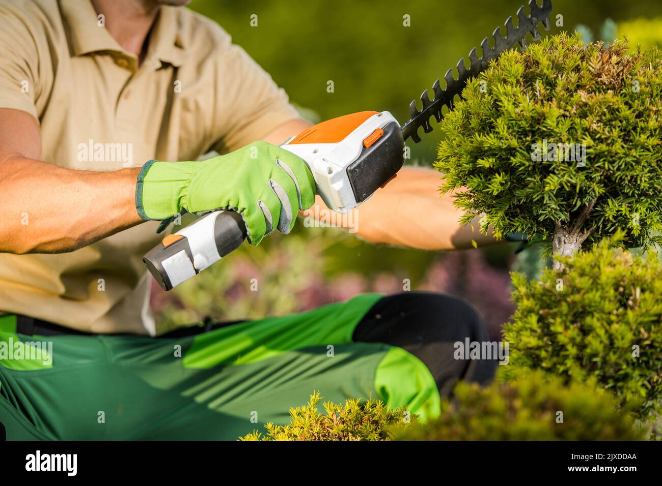 Small hand 2024 held hedge trimmers