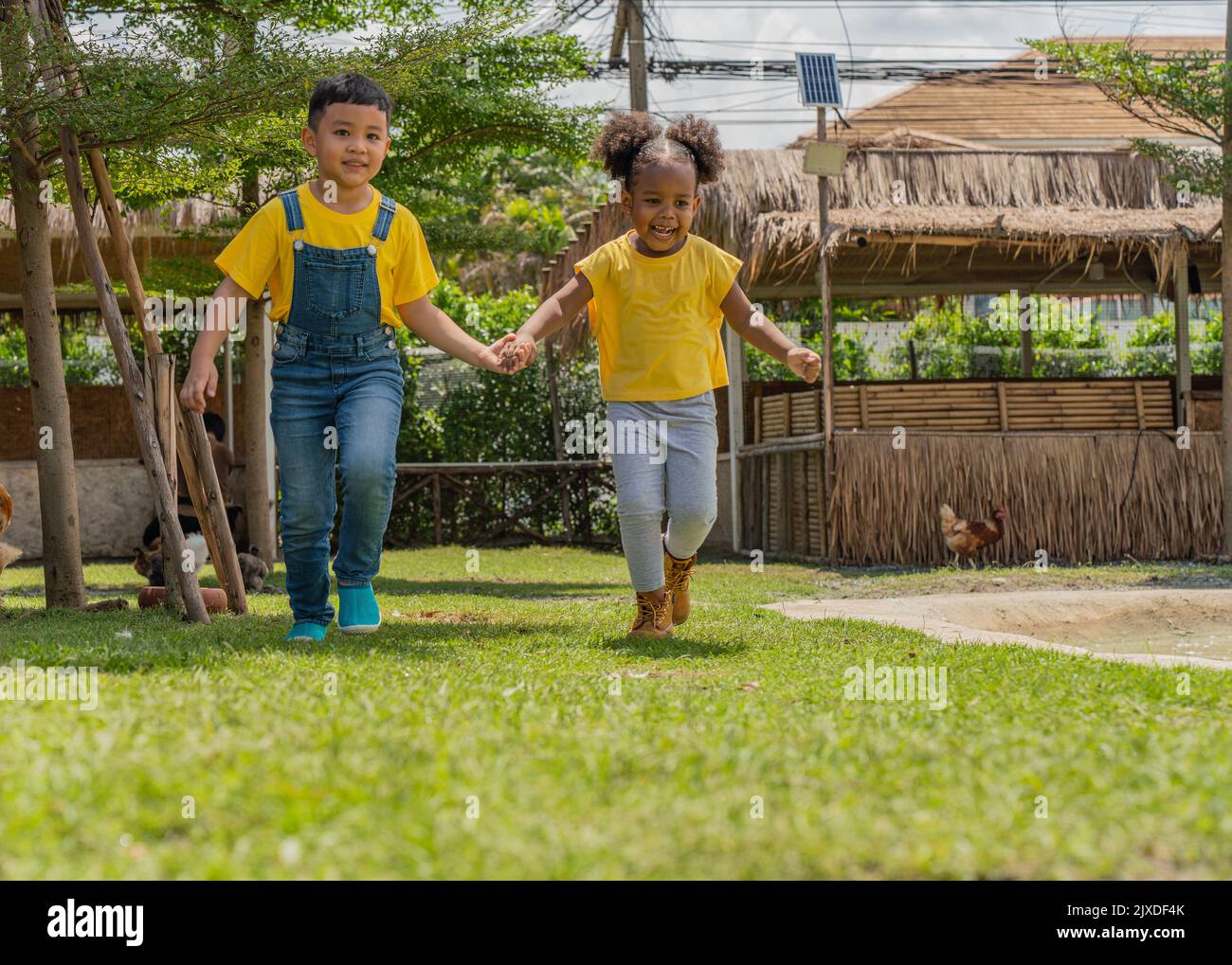 A day at the beach together hand in hand hires stock photography and