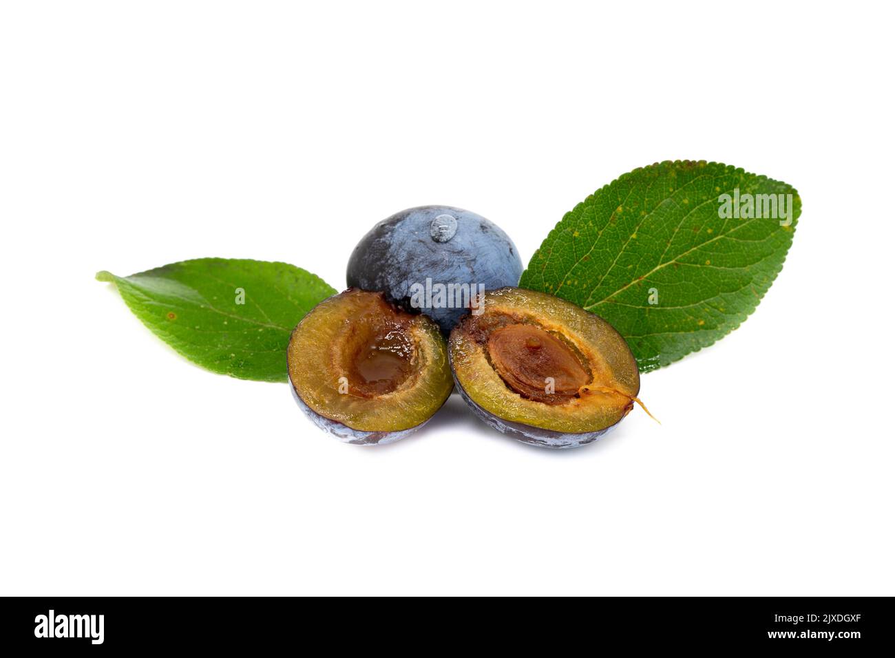plum isolated on white background Stock Photo