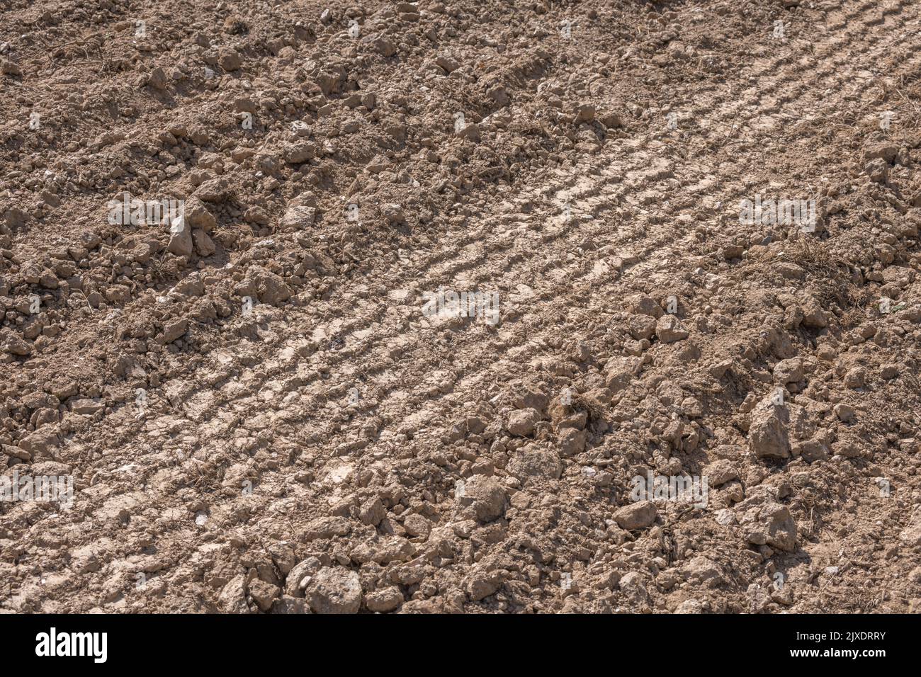 Farm tractor tyre tracks in dry parched soil in field prepared for planting new crop. For dried earth or farmland, UK agriculture, leave an impression Stock Photo