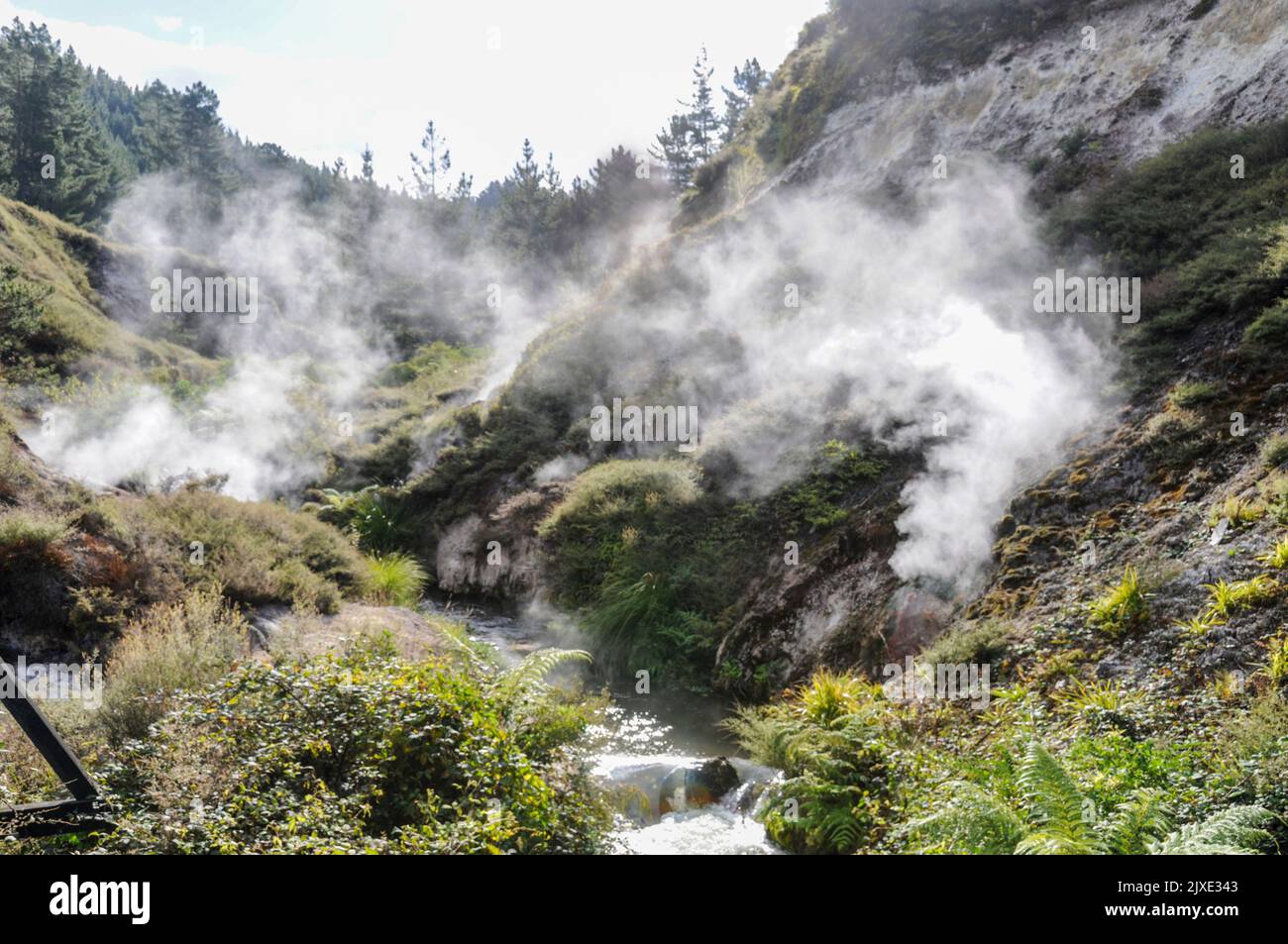 Steam drifting from some of the hot springs in the Wairakei Natural Thermal Valley which is off the Thermal Explorer Highway (State Highway 5) between Stock Photo