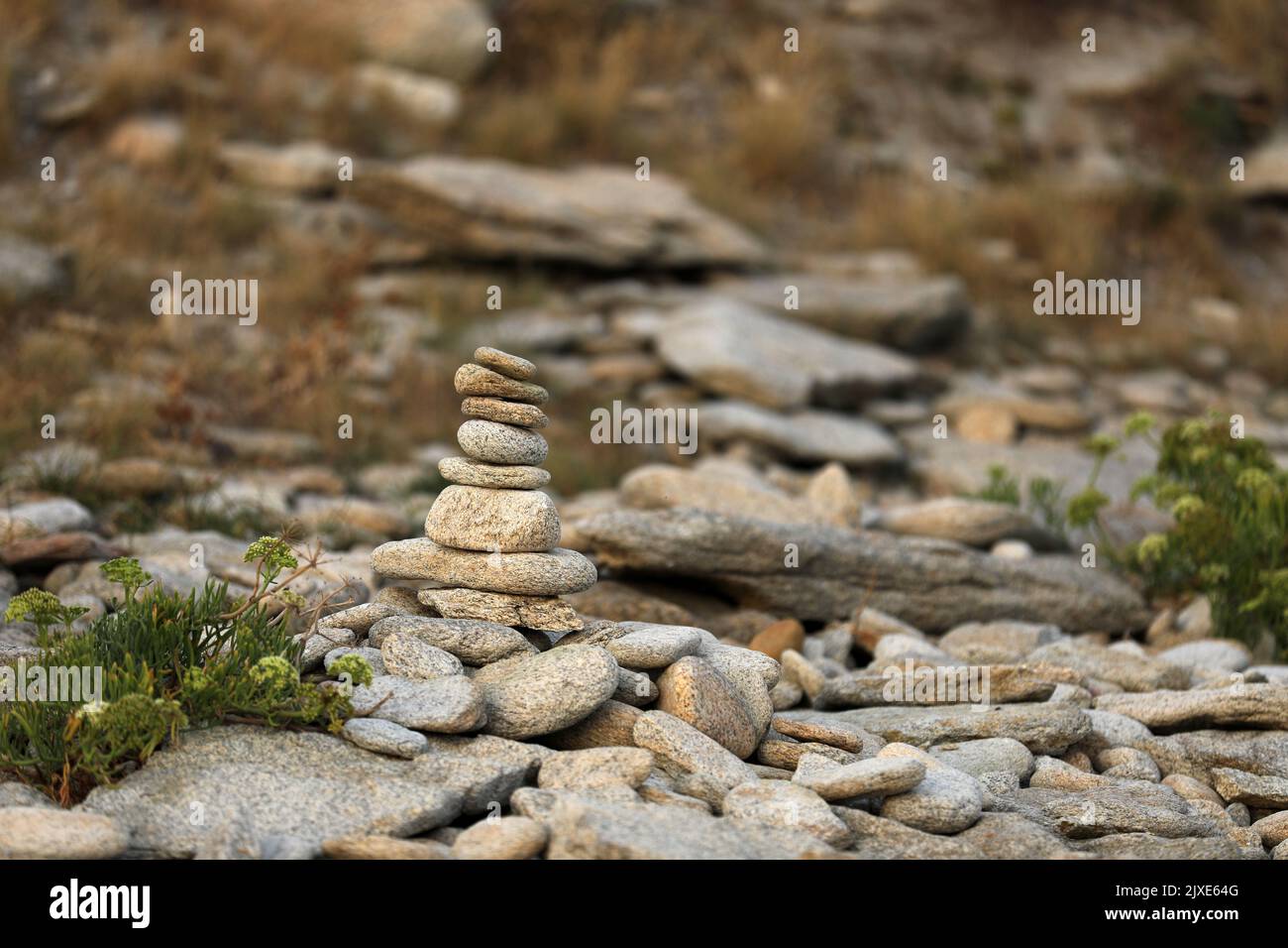 Stone male stones yoga meditation on the beach Stock Photo Alamy