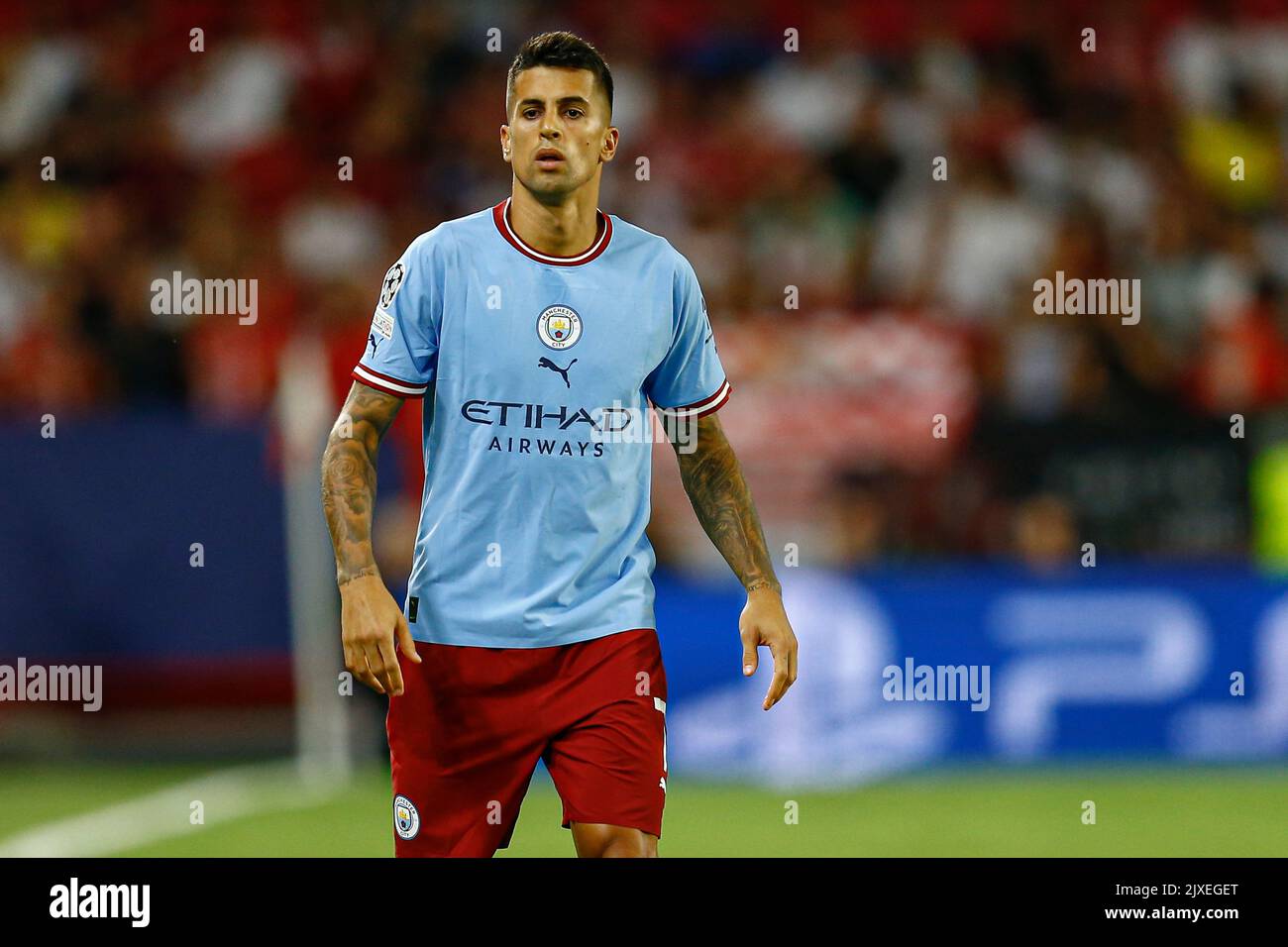 Rodri Hernandez of Manchester City during the UEFA Champions League ...