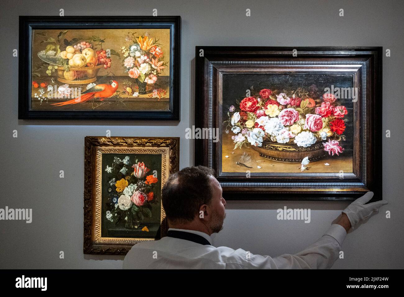 London, UK.  7 September 2022. A technician inspects "Still life of roses in an oriental lacquer and canework bowl, on a ledge with a butterfly and dragonfly" by Osias Beert the Elder (Est. £200k to £300k) at a preview of a collection of Old Master still lifes at Sotheby’s Mayfair galleries.  The works are part of the Old Masters sale to be auctioned on 7 December.  Credit: Stephen Chung / 17�Թ����� Live News Stock Photo