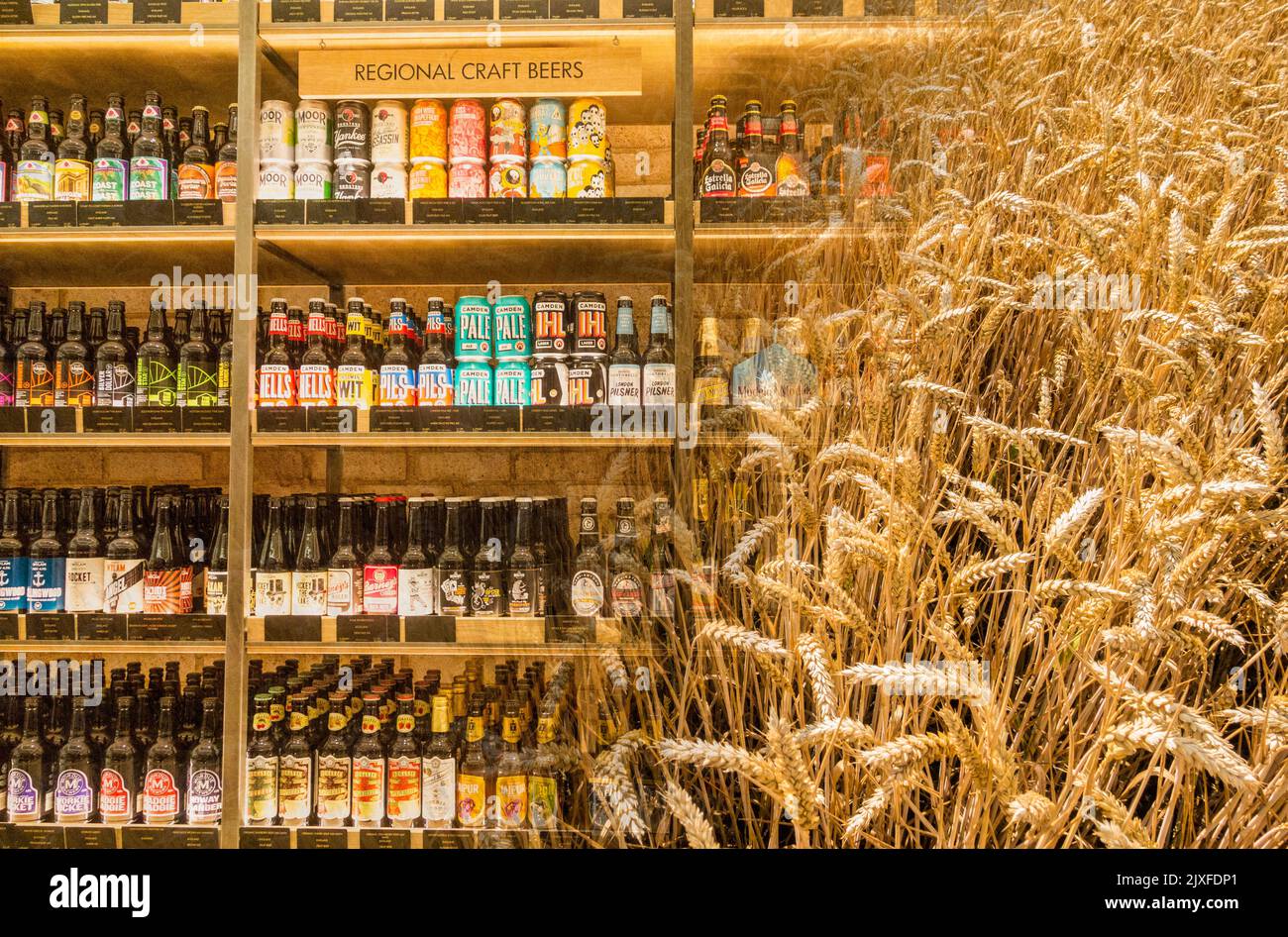 Craft beers in supermarket with wheat/Barley image overlayed. Rising