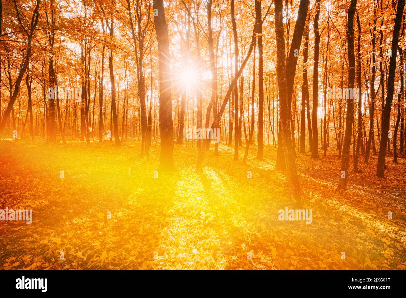 Time lapse sunset sun beams hi-res stock photography and images - Alamy