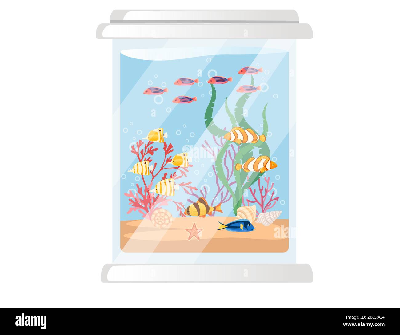 Big glass aquarium with different tropical fishes sand corals and shells vector illustration on white background Stock Vector