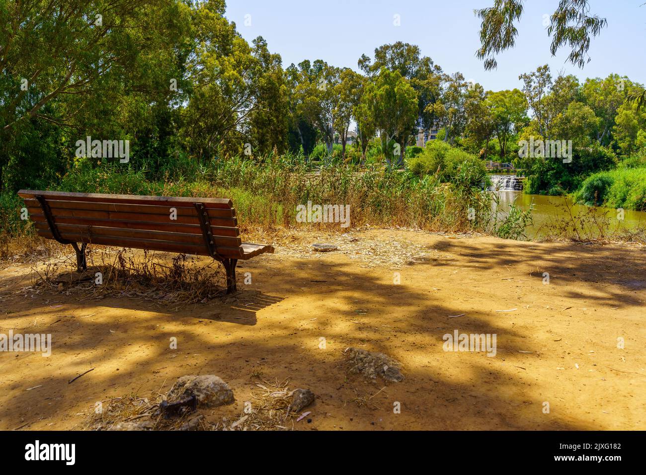 View of a bench and Eucalyptus trees along the Yarkon River, in the Yarkon Park, Tel-Aviv, Israel Stock Photo