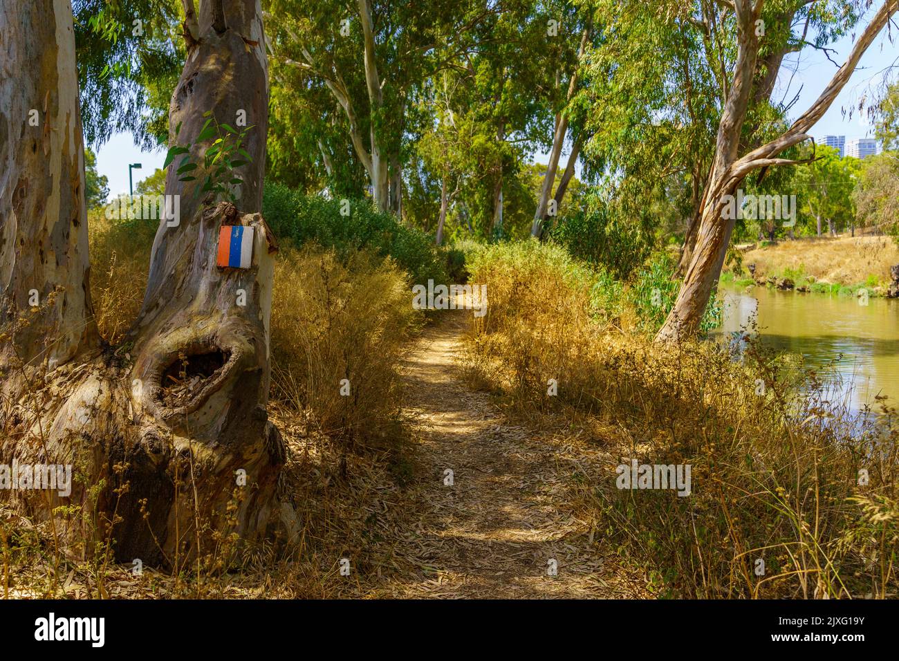 View of the Israel National Trail marker, in the Yarkon Park, Tel-Aviv, Israel Stock Photo