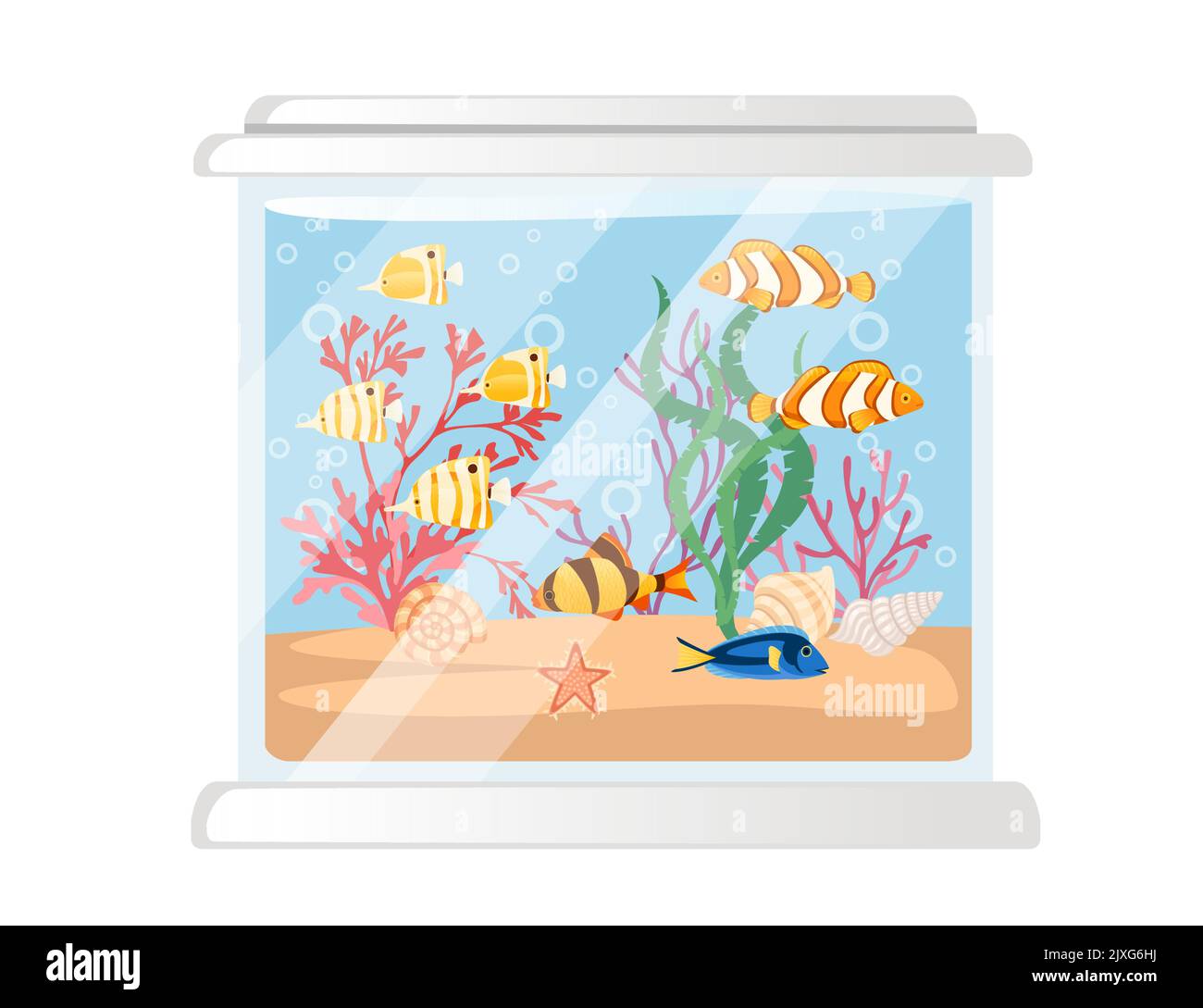 Big glass aquarium with different tropical fishes sand corals and shells vector illustration on white background Stock Vector