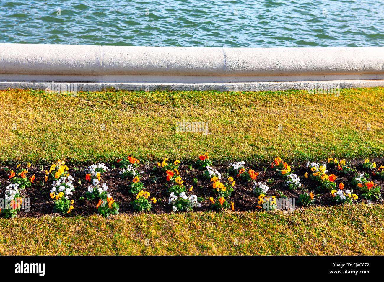 Potted flowers in the park . Flower beds in ornamental garden Stock Photo Alamy