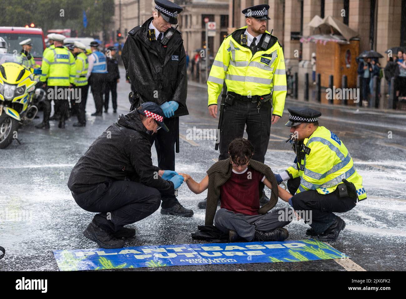 Westminster Bridge Road, Westminster, London, UK. 7th Sep, 2022. Vegan protesters from Animal Rebellion have sprayed white paint over a wall of the Palace of Westminster and blocked the Bridge Street road outside just prior to new Prime Minister Liz Truss arriving at Parliament for PMQs. Arrests were made. Anti-milk protest. Heavy rain shortly after has washed much of the paint across pavements and into the road Stock Photo