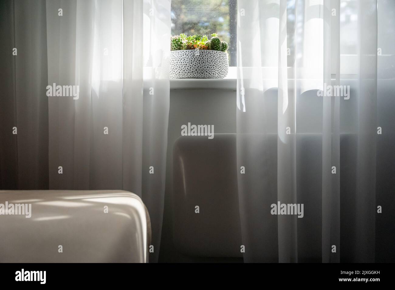 Electric heating radiator under window with curtains in living room ...