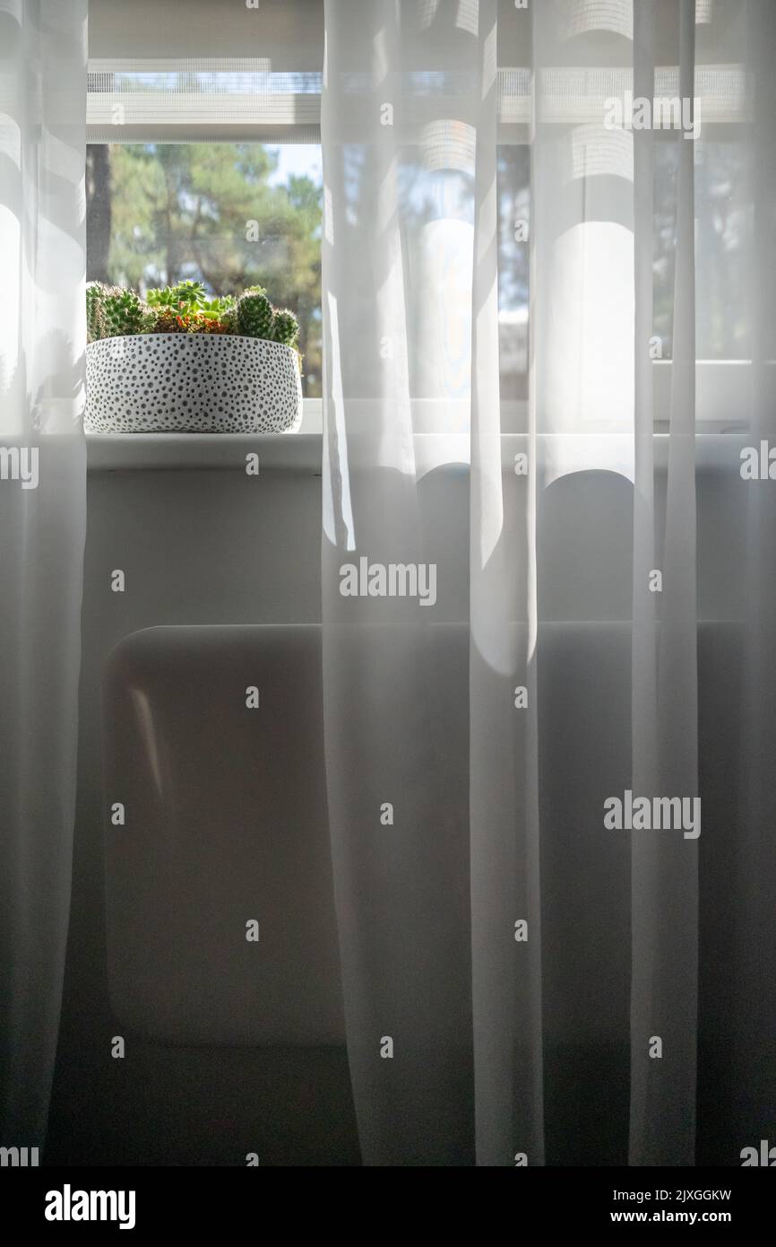 Electric heating radiator under window with curtains in living room. Plant on windowsill Stock