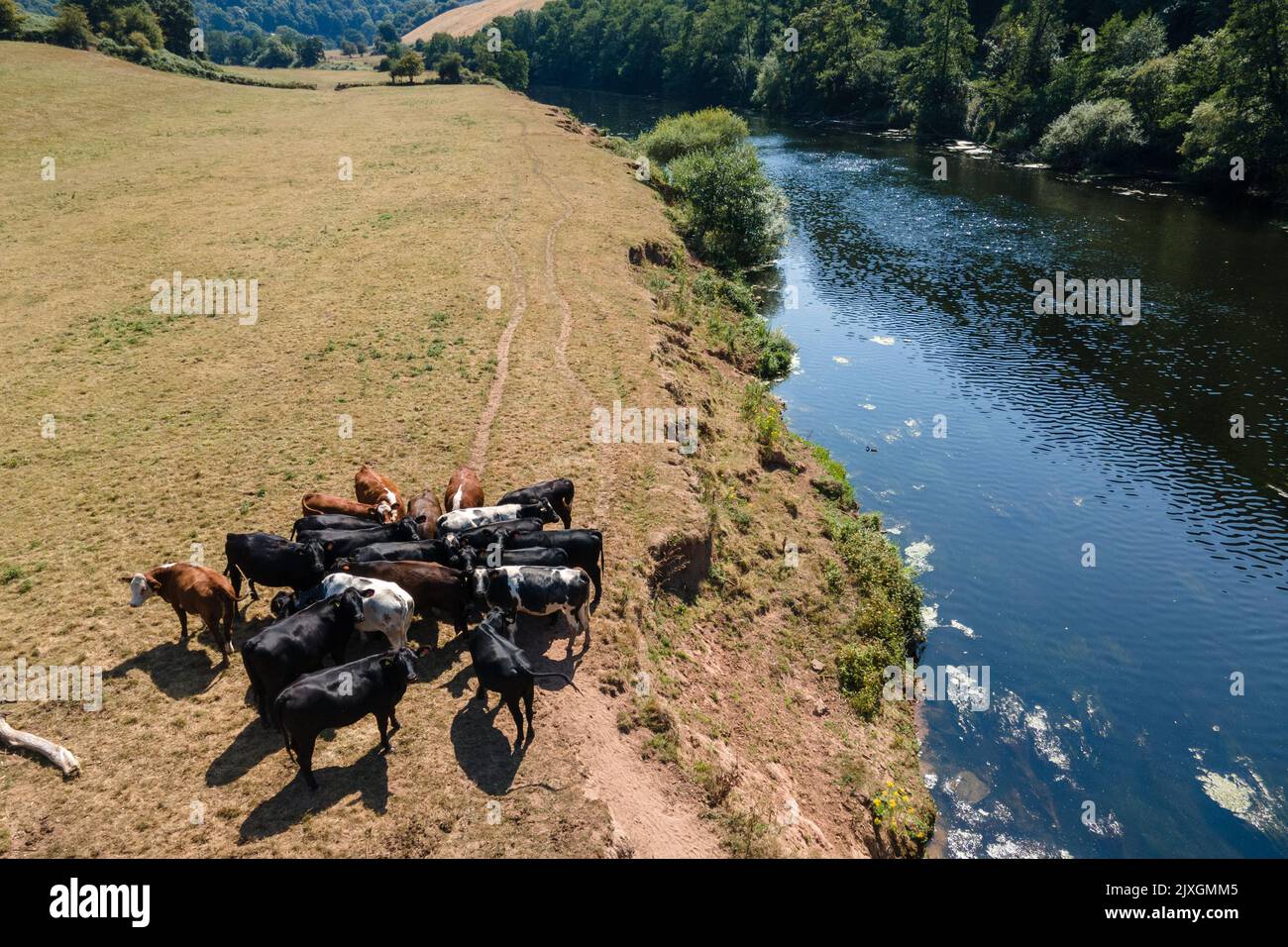 Welsh Rivers From Aerial Aerial view of River Wye in Monmouthshire- Wales UK Stock Photo - Alamy