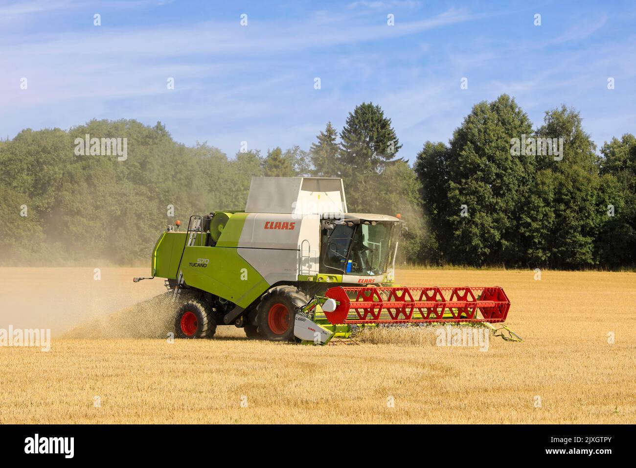 Farmer in field harvesting ripe wheat with Claas Tucano 570 combine harvester on a sunny day of August. Salo, Finland. August 28, 2022. Stock Photo