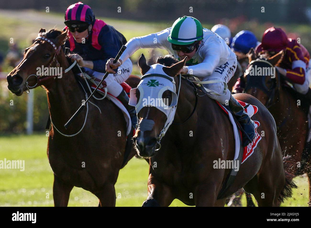 Brian Park rides Jamaican Rain to win race 5, The Goodlife Essendon