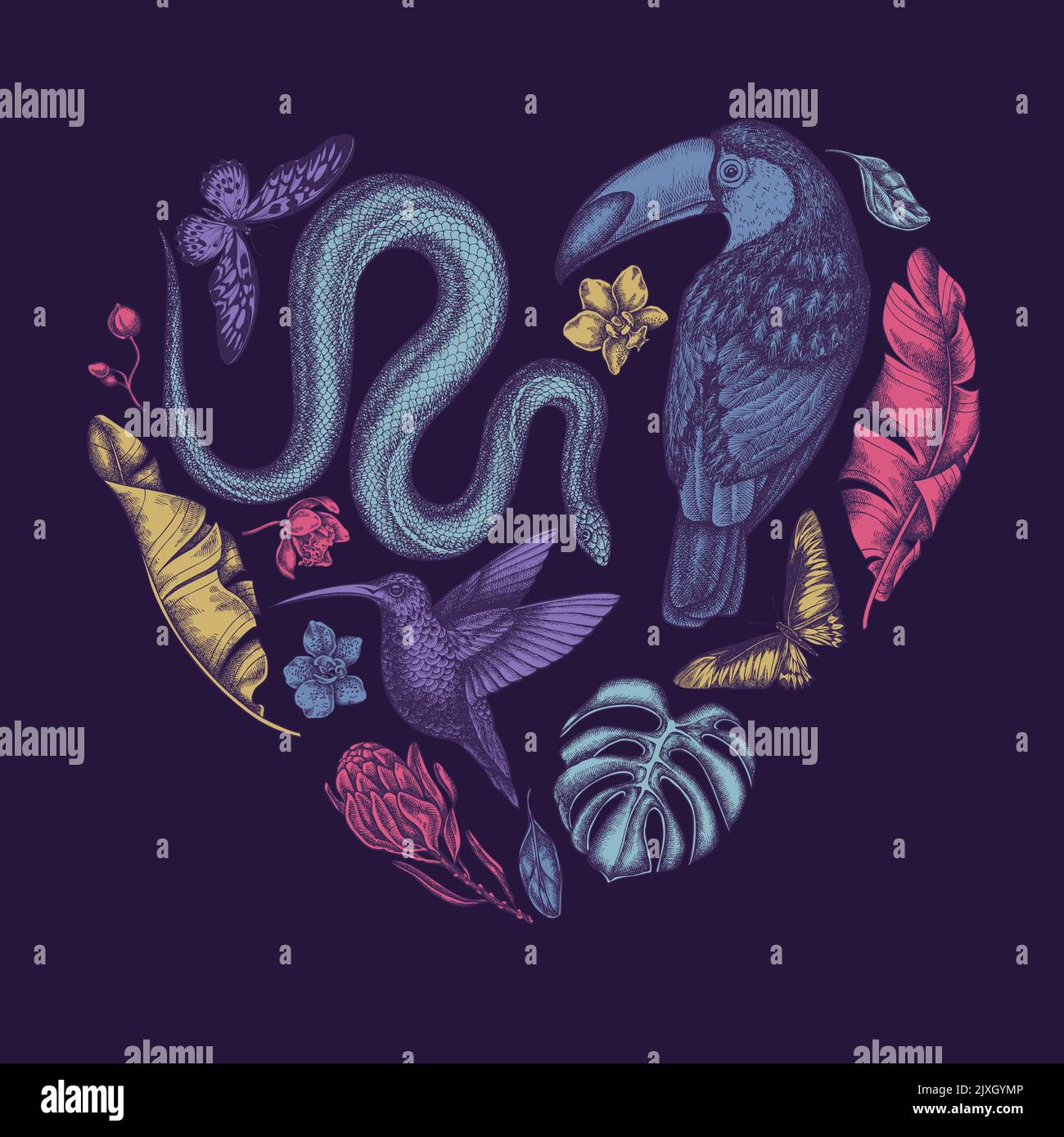 Tropical animals heart vintage design. Hand drawn snake, hummingbird, toucan, african giant swallowtail, monstera, banana palm leaves, protea Stock Vector