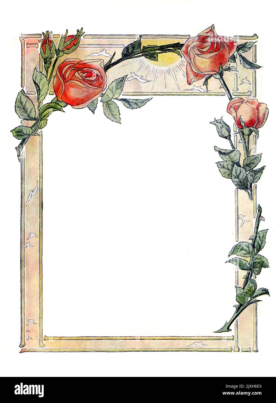 floral frame decorations on white background by Earl Stetson Crawford published 1909 Stock Photo