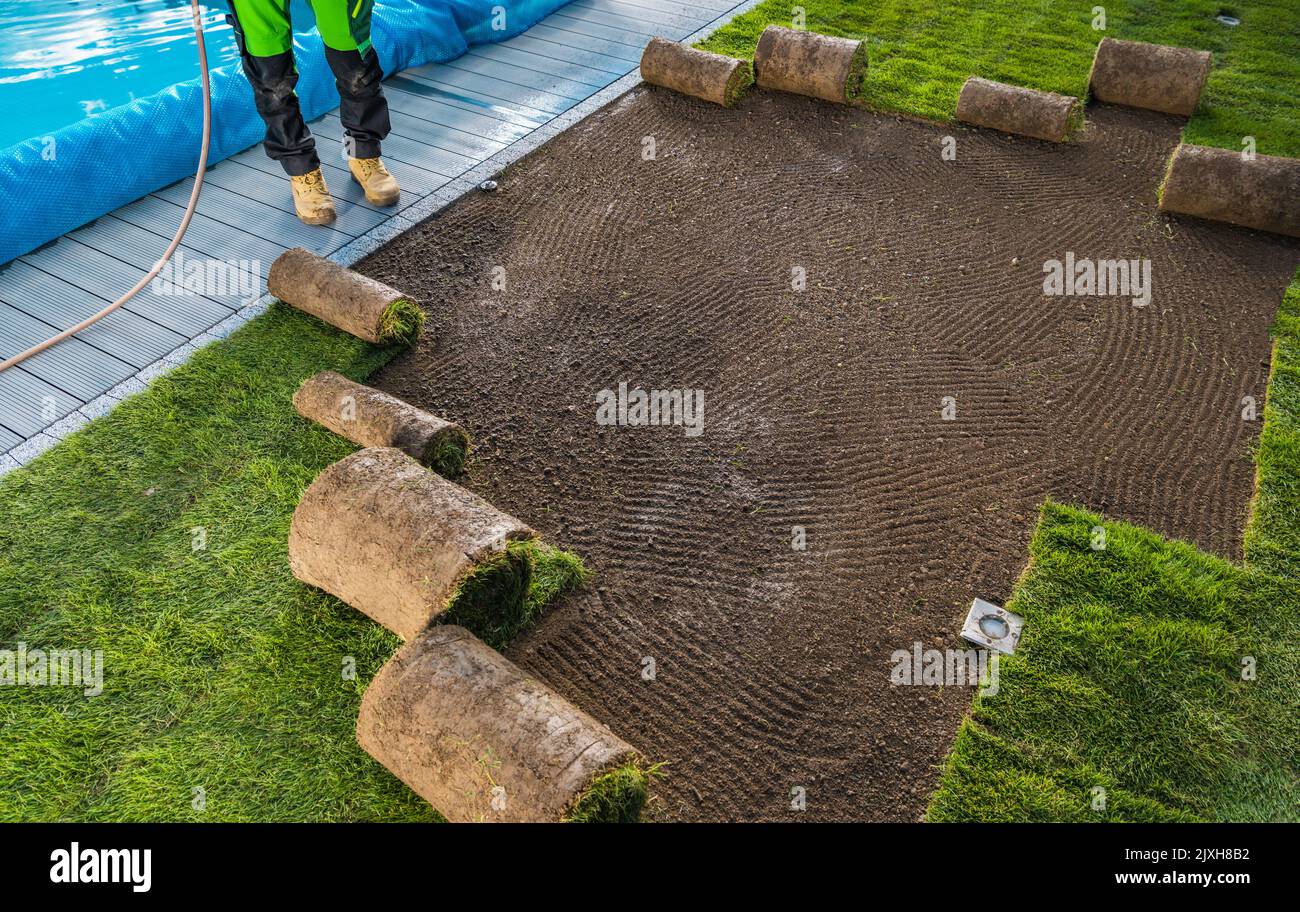 Backyard Garden Swimming Pool Area New Natural Grass Lawn Installation. Landscaping Worker Rolling Out Turf Rolls. Stock Photo