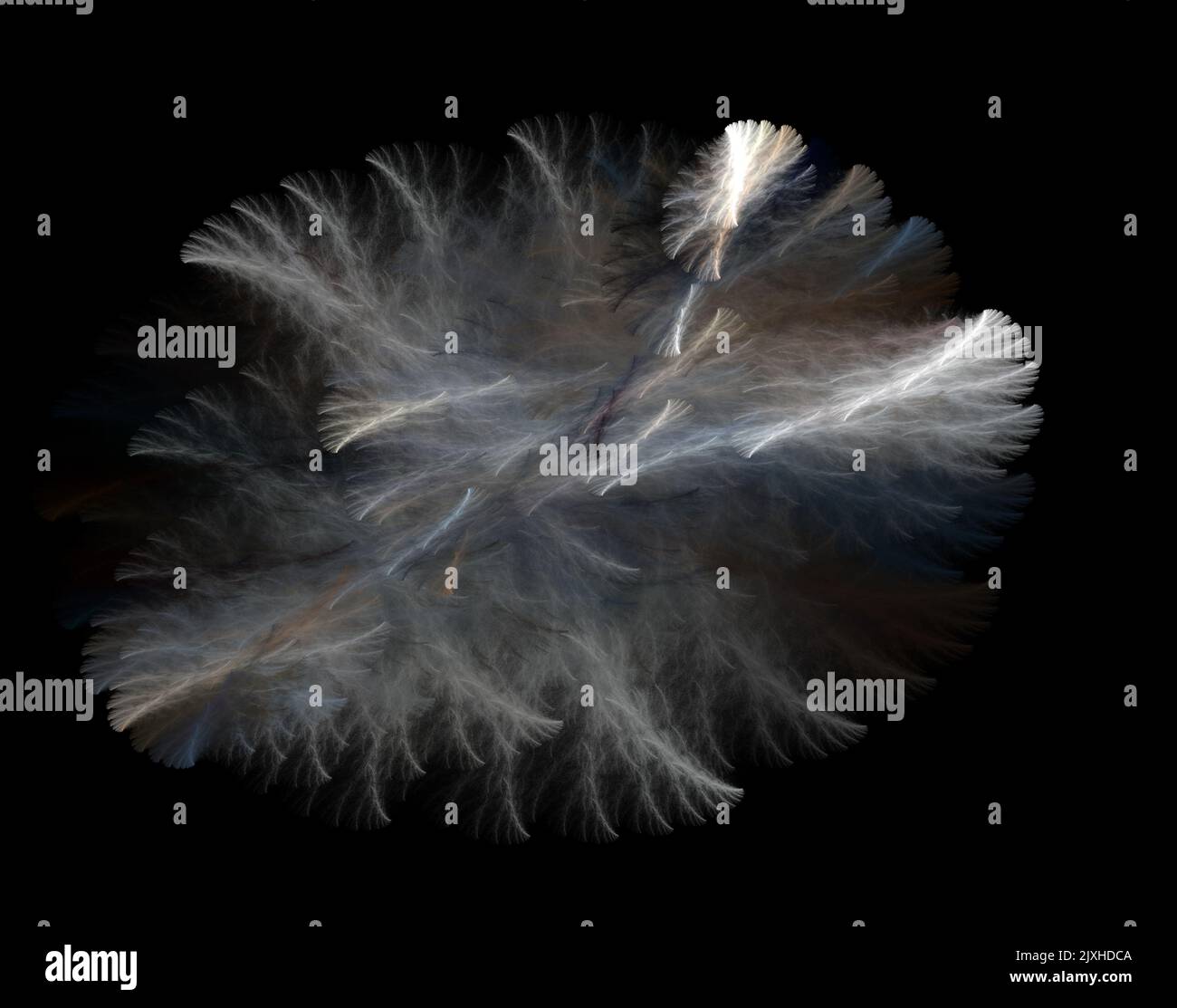 Fractal gray shape imitating an explosion, wool, twigs. Black ...