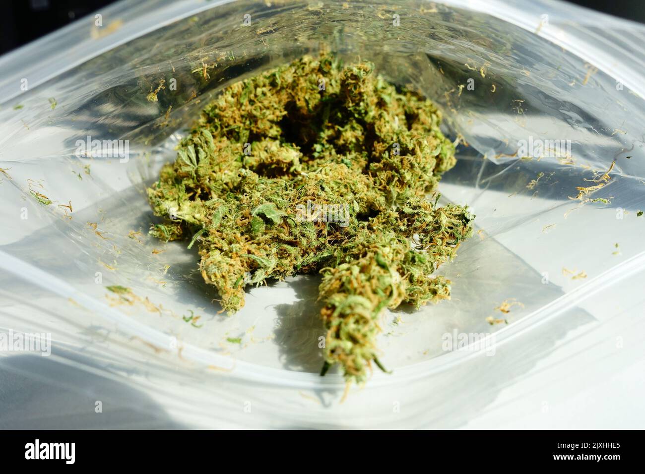 Marijuana dried flower buds in a plastic bag Stock Photo Alamy