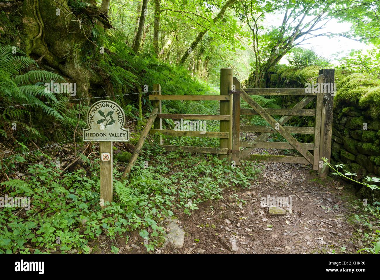 A National Trust signpost for the Heddon Valley next to a gate into Heale Wood in the Exmoor National Park, North Devon, England. Stock Photo