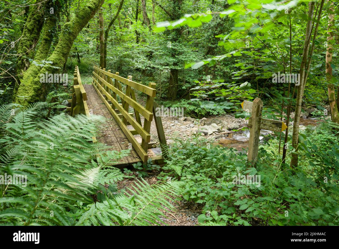 A wooden footbridge over the River Heddon in the Exmoor National Park, North Devon, England. Stock Photo