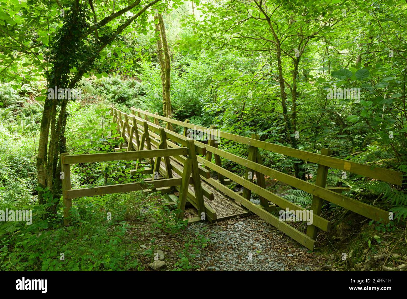 A wooden footbridge over the River Heddon in the Exmoor National Park, North Devon, England. Stock Photo