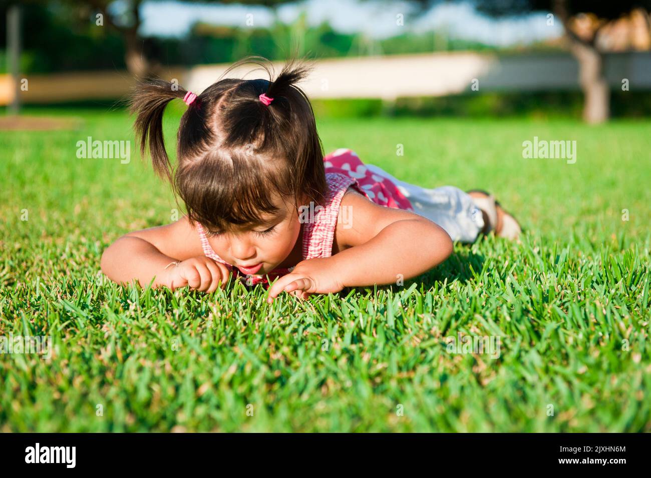 The girl searches in a grass of insects Stock Photo